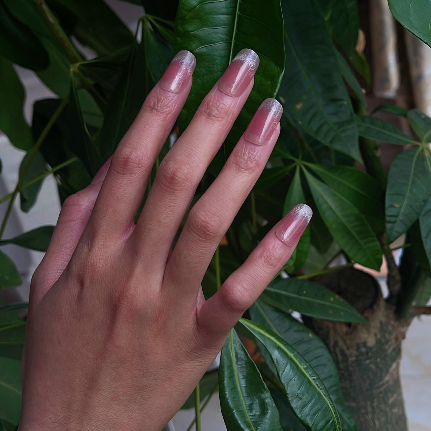 [FULL SET GLITTERING] Moonlight Glittering Cherry Blossom Petal Pink French Style Medium Length Press On Nails - Belle Rose Nails